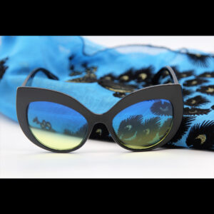 sunglasses and Scarf Set